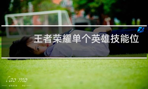 王者荣耀单个英雄技能位置怎么调图片