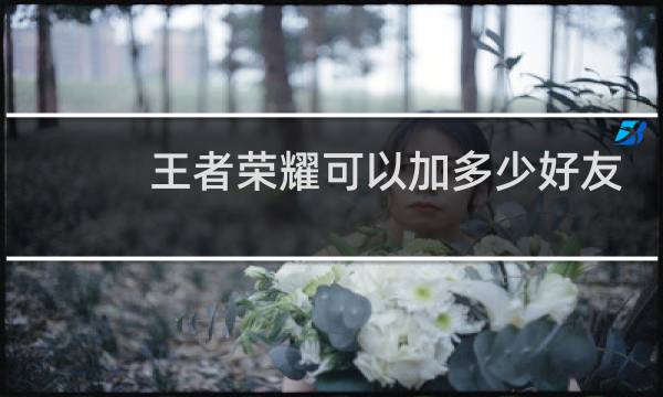 王者荣耀可以加多少好友图片