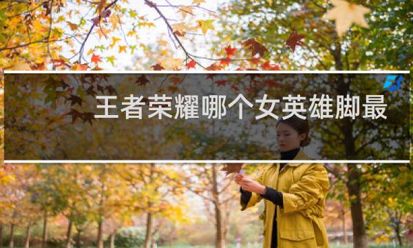 王者荣耀哪个女英雄脚最臭百度网盘图片