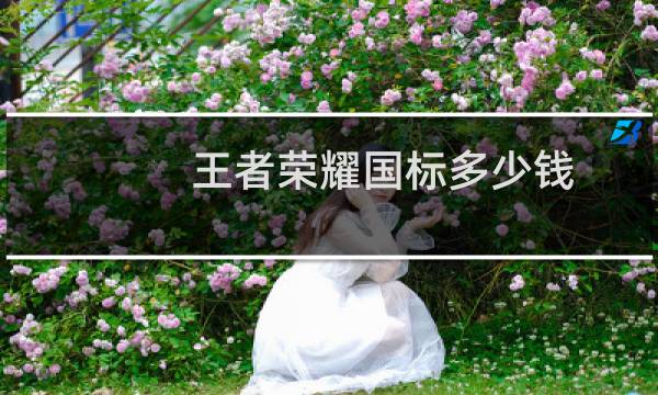 王者荣耀国标多少钱图片