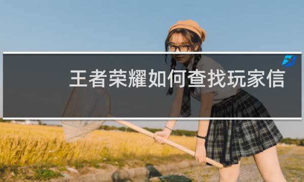 王者荣耀如何查找玩家信息图片
