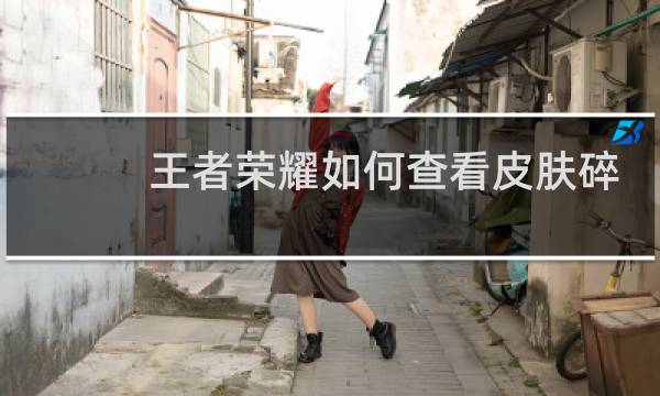 王者荣耀如何查看皮肤碎片图片