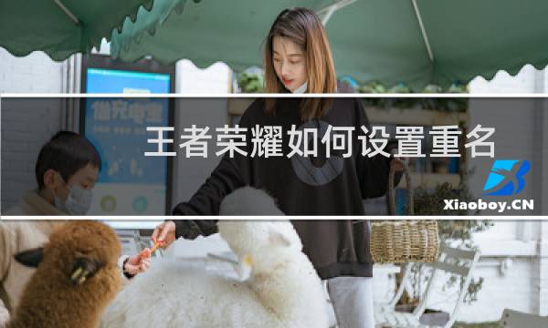 王者荣耀如何设置重名图片