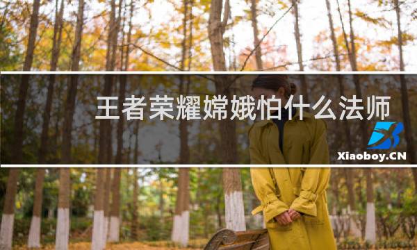 王者荣耀嫦娥怕什么法师图片