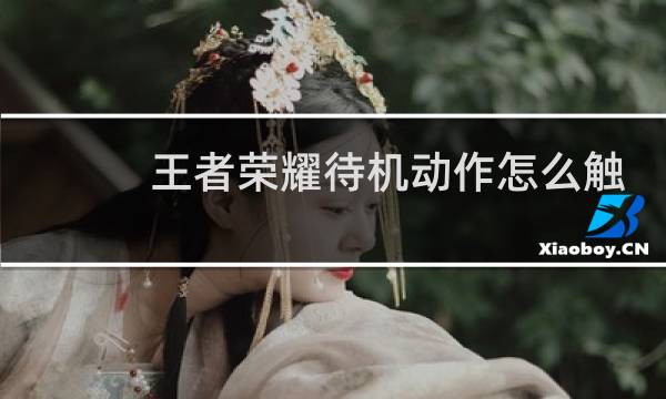 王者荣耀待机动作怎么触发图片