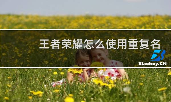 王者荣耀怎么使用重复名字修改器图片