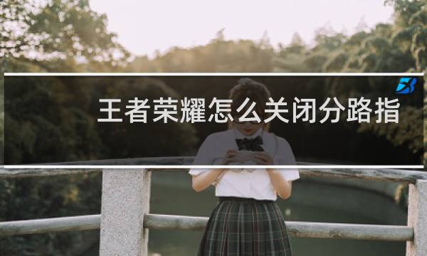 王者荣耀怎么关闭分路指引图片