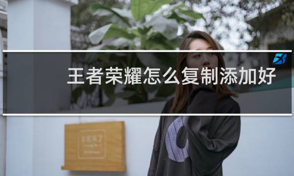 王者荣耀怎么复制添加好友图片