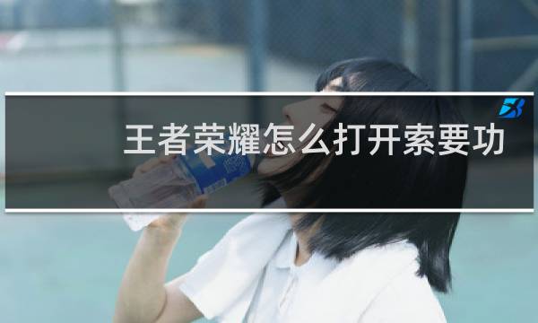 王者荣耀怎么打开索要功能图片