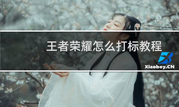 王者荣耀怎么打标教程图片