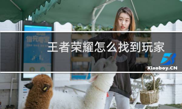 王者荣耀怎么找到玩家图片