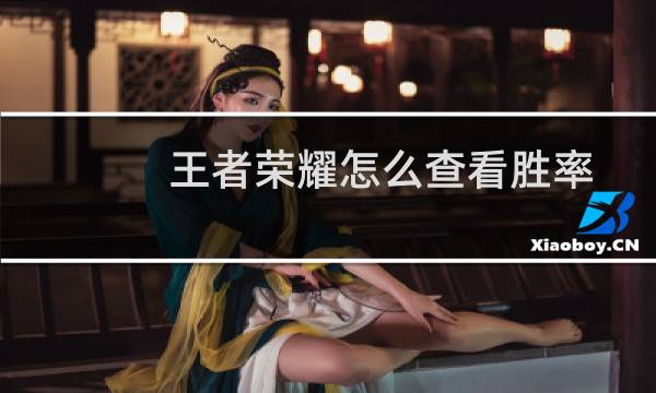 王者荣耀怎么查看胜率图片