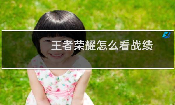 王者荣耀怎么看战绩图片