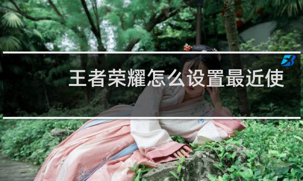 王者荣耀怎么设置最近使用英雄场次图片