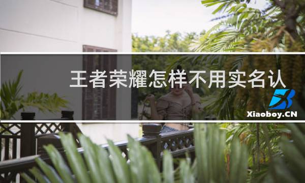 王者荣耀怎样不用实名认证微信图片