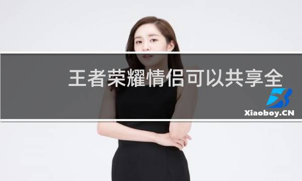 王者荣耀情侣可以共享全部英雄跟皮肤吗图片