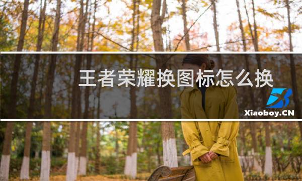 王者荣耀换图标怎么换图片