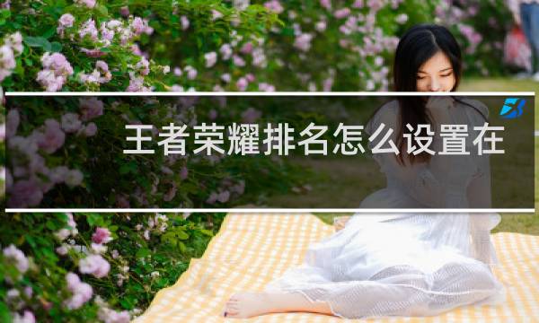 王者荣耀排名怎么设置在页面图片