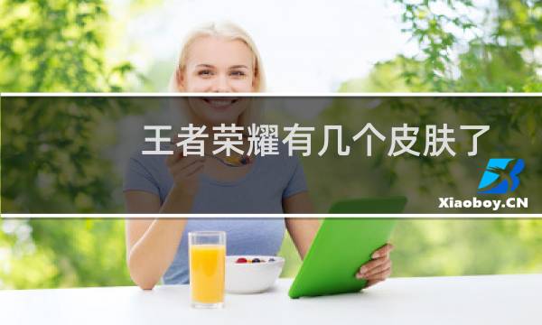 王者荣耀有几个皮肤了图片