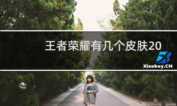 王者荣耀有几个皮肤2019图片
