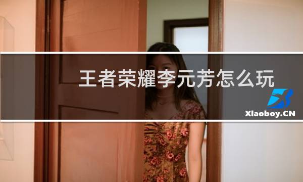 王者荣耀李元芳怎么玩图片