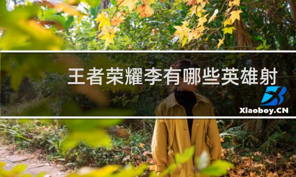 王者荣耀李有哪些英雄射手图片