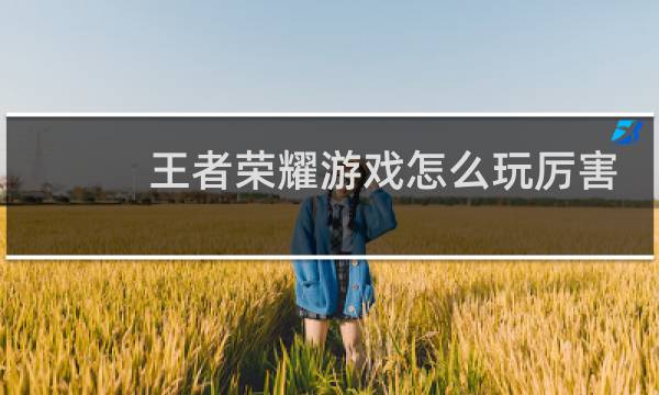 王者荣耀游戏怎么玩厉害图片