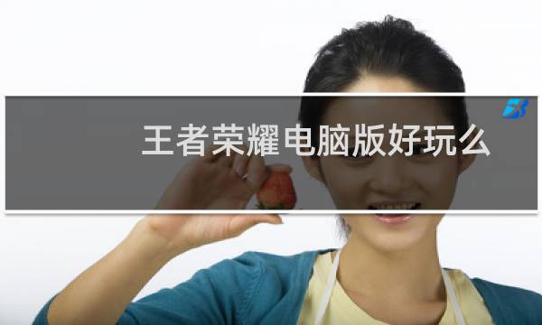 王者荣耀电脑版好玩么图片