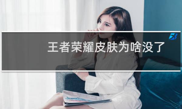 王者荣耀皮肤为啥没了图片