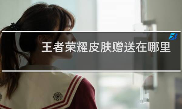 王者荣耀皮肤赠送在哪里图片