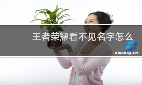 王者荣耀看不见名字怎么弄图片