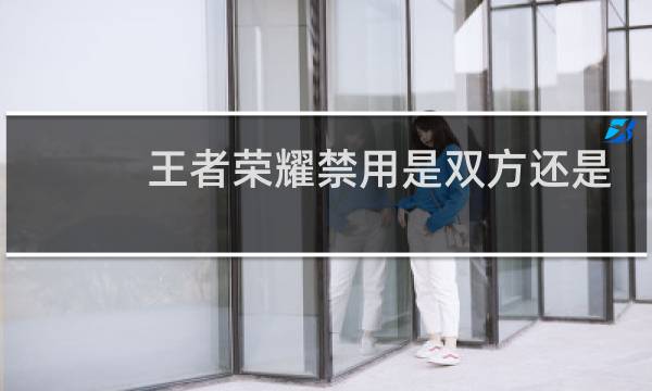 王者荣耀禁用是双方还是对方图片