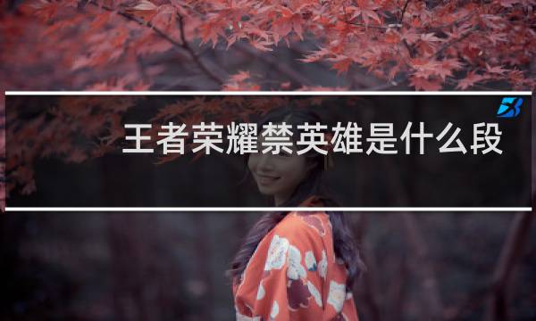 王者荣耀禁英雄是什么段位图片