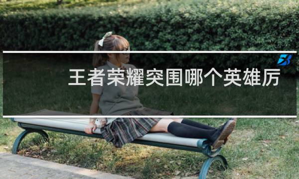 王者荣耀突围哪个英雄厉害图片