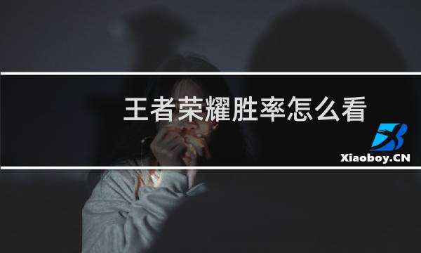 王者荣耀胜率怎么看图片