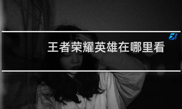 王者荣耀英雄在哪里看图片