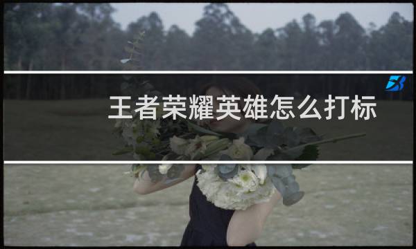 王者荣耀英雄怎么打标图片