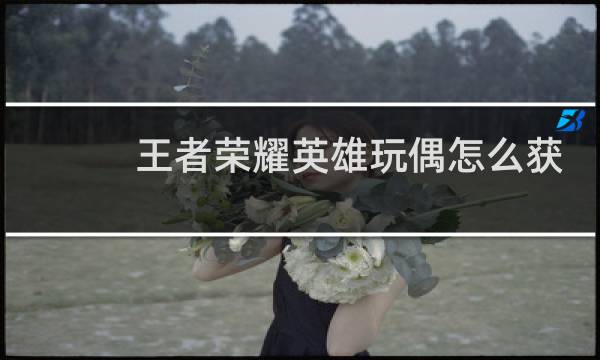王者荣耀英雄玩偶怎么获得图片