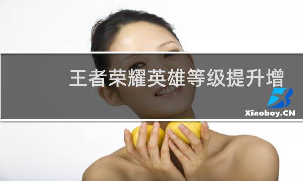 王者荣耀英雄等级提升增加什么属性图片