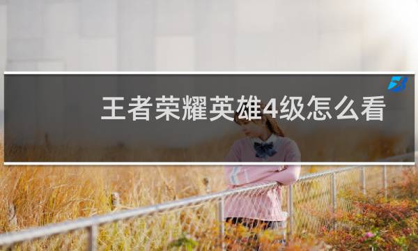王者荣耀英雄4级怎么看图片