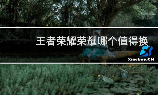王者荣耀荣耀哪个值得换图片