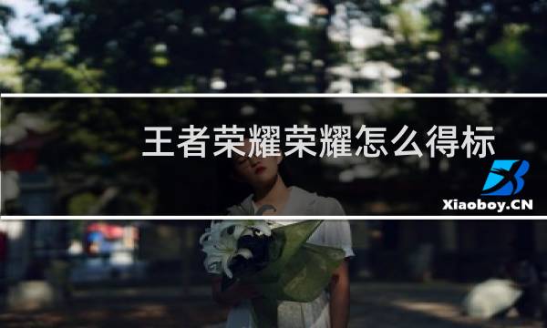 王者荣耀荣耀怎么得标图片