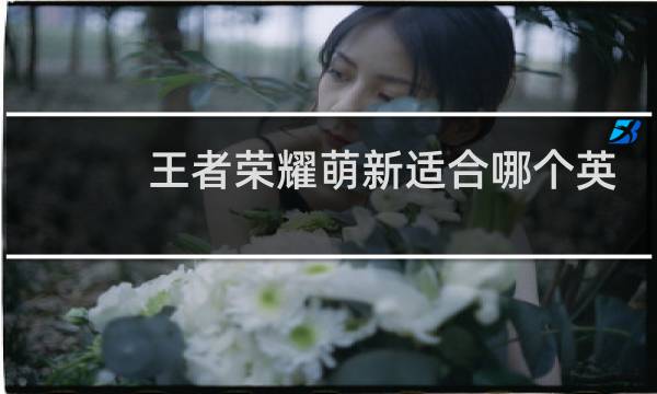 王者荣耀萌新适合哪个英雄图片