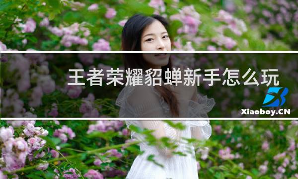 王者荣耀貂蝉新手怎么玩图片