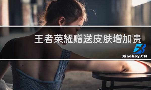 王者荣耀赠送皮肤增加贵族等级吗图片