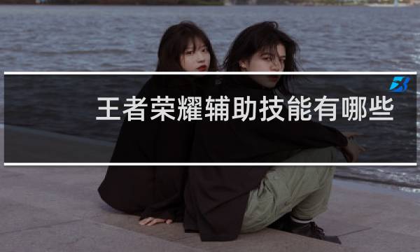 王者荣耀辅助技能有哪些图片
