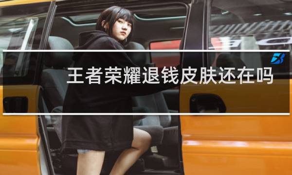 王者荣耀退钱皮肤还在吗图片