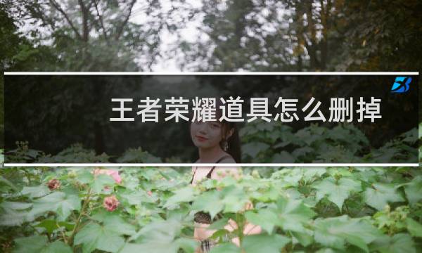 王者荣耀道具怎么删掉图片