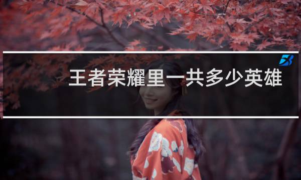 王者荣耀里一共多少英雄吗图片