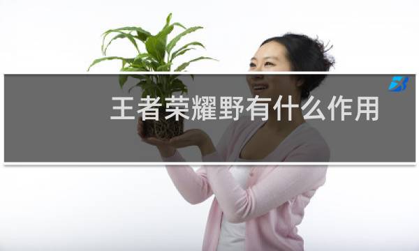 王者荣耀野有什么作用图片
